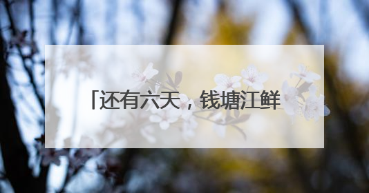 还有六天，钱塘江鲜回归，杭州杨公社区渔民：第一波盼刀鱼