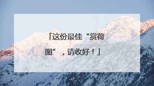 这份最佳“赏荷图”，请收好！