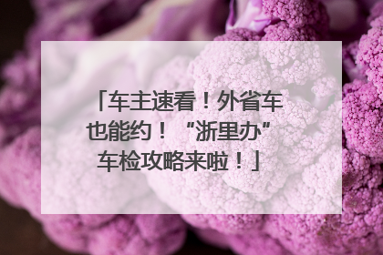 车主速看！外省车也能约！“浙里办”车检攻略来啦！