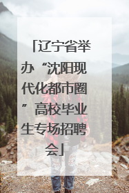 辽宁省举办“沈阳现代化都市圈”高校毕业生专场招聘会