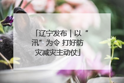 辽宁发布｜以“汛”为令 打好防灾减灾主动仗