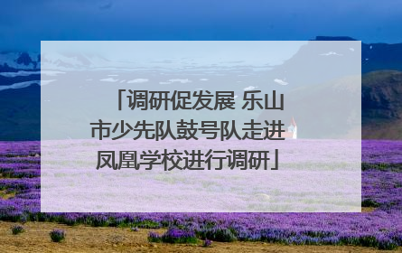 调研促发展 乐山市少先队鼓号队走进凤凰学校进行调研