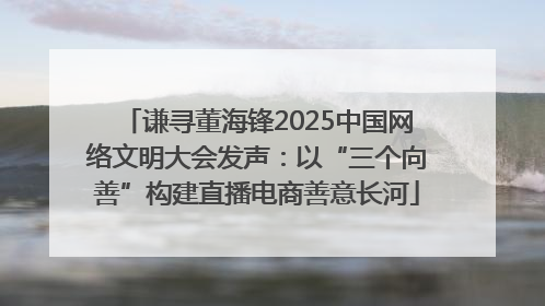 谦寻董海锋2025中国网络文明大会发声：以“三个向善”构建直播电商善意长河