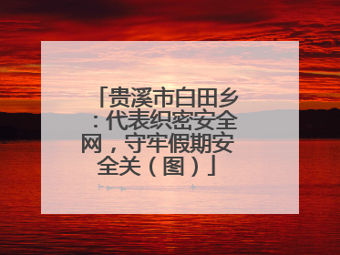 贵溪市白田乡：代表织密安全网，守牢假期安全关（图）