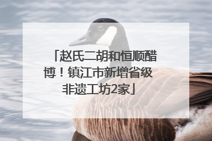 赵氏二胡和恒顺醋博！镇江市新增省级非遗工坊2家