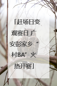 赶场日变观赛日 广安彭家乡“村BA”火热开赛