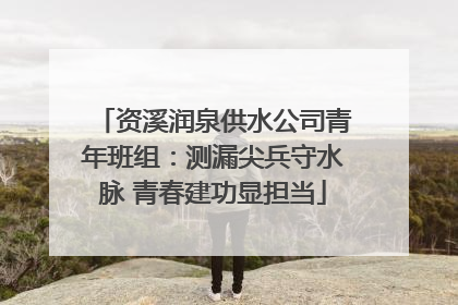 资溪润泉供水公司青年班组：测漏尖兵守水脉 青春建功显担当
