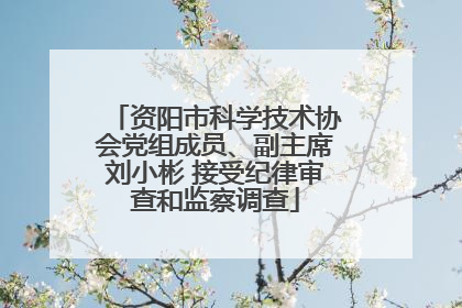 资阳市科学技术协会党组成员、副主席刘小彬 接受纪律审查和监察调查