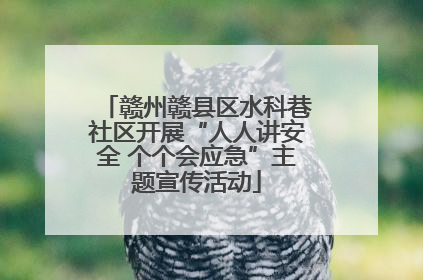 赣州赣县区水科巷社区开展“人人讲安全 个个会应急”主题宣传活动