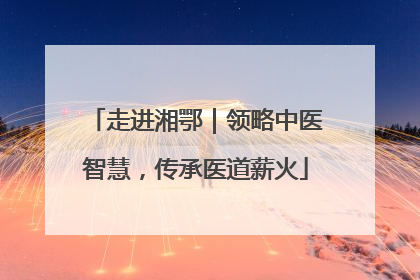 走进湘鄂｜领略中医智慧，传承医道薪火