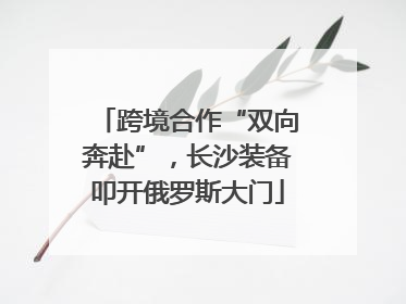 跨境合作“双向奔赴”，长沙装备叩开俄罗斯大门
