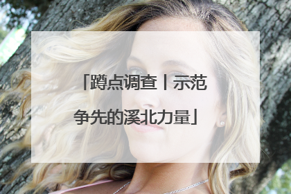 蹲点调查丨示范争先的溪北力量
