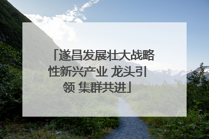 遂昌发展壮大战略性新兴产业 龙头引领 集群共进