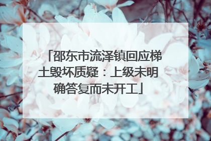 邵东市流泽镇回应梯土毁坏质疑：上级未明确答复而未开工
