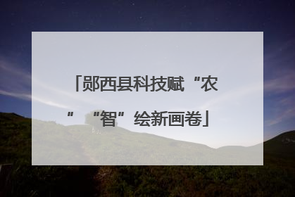郧西县科技赋“农”“智”绘新画卷