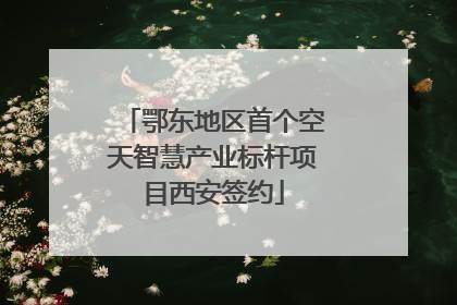 鄂东地区首个空天智慧产业标杆项目西安签约