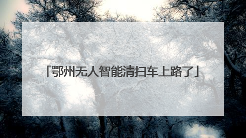 鄂州无人智能清扫车上路了