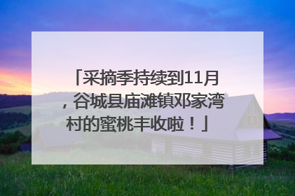 采摘季持续到11月，谷城县庙滩镇邓家湾村的蜜桃丰收啦！