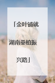 金叶铺就湖南桑植振兴路