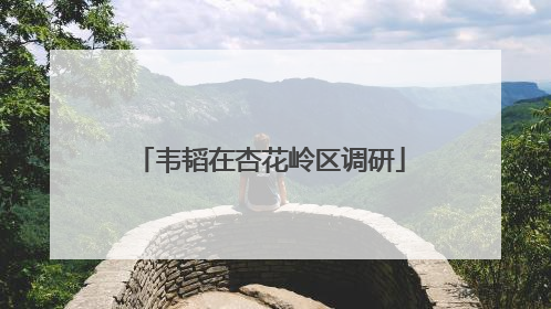 韦韬在杏花岭区调研