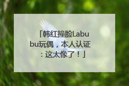 韩红撞脸Labubu玩偶，本人认证：这太像了！
