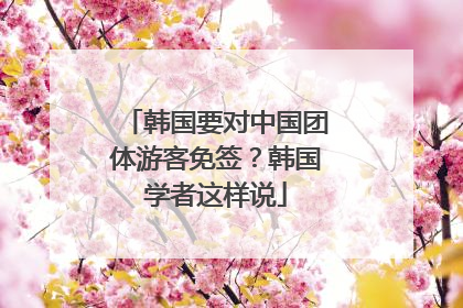 韩国要对中国团体游客免签？韩国学者这样说