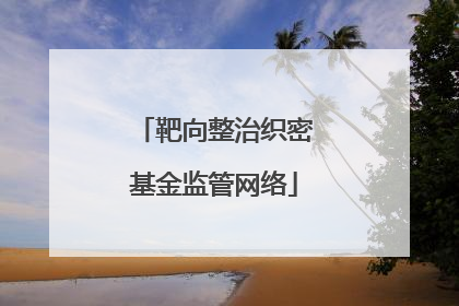 靶向整治织密基金监管网络