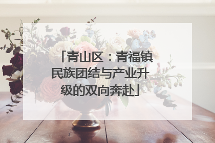 青山区：青福镇民族团结与产业升级的双向奔赴