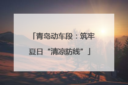 青岛动车段：筑牢夏日“清凉防线”