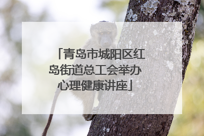 青岛市城阳区红岛街道总工会举办心理健康讲座