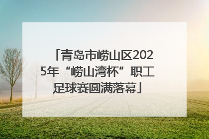 青岛市崂山区2025年“崂山湾杯”职工足球赛圆满落幕