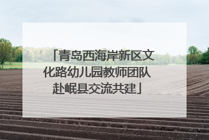 青岛西海岸新区文化路幼儿园教师团队赴岷县交流共建