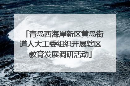 青岛西海岸新区黄岛街道人大工委组织开展辖区教育发展调研活动