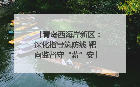 青岛西海岸新区：深化指导筑防线 靶向监督守“薪”安