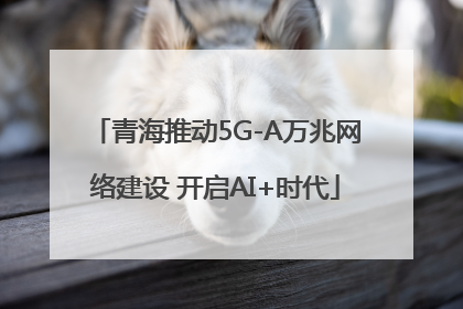 青海推动5G-A万兆网络建设 开启AI+时代