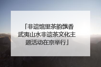 非遗馆里茶韵飘香 武夷山水非遗茶文化主题活动在京举行