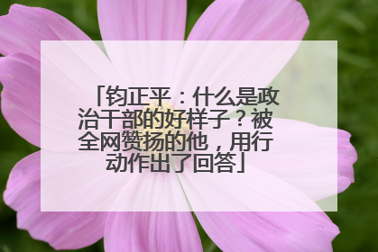 钧正平：什么是政治干部的好样子？被全网赞扬的他，用行动作出了回答