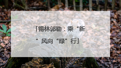 锡林郭勒：乘“新”风向“绿”行