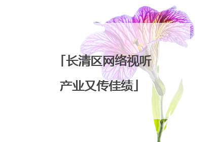 长清区网络视听产业又传佳绩