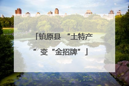 镇原县 “土特产”变“金招牌”