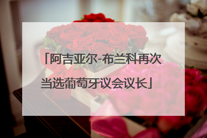 阿吉亚尔-布兰科再次当选葡萄牙议会议长