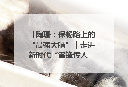 陶珊：保畅路上的“最强大脑”｜走进新时代“雷锋传人 长沙榜样”
