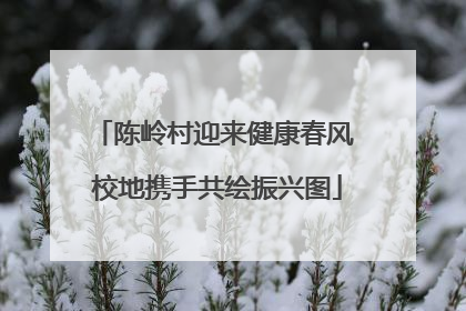 陈岭村迎来健康春风 校地携手共绘振兴图