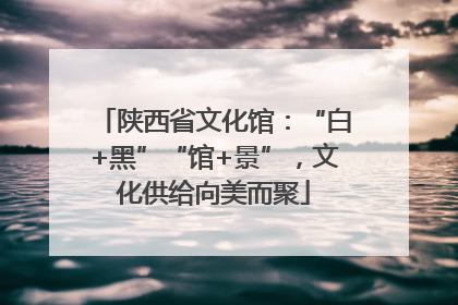 陕西省文化馆：“白+黑”“馆+景”，文化供给向美而聚