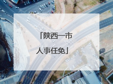 陕西一市人事任免
