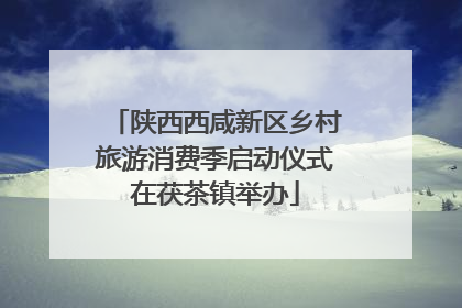 陕西西咸新区乡村旅游消费季启动仪式在茯茶镇举办