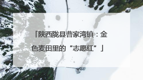陕西陇县曹家湾镇：金色麦田里的“志愿红”