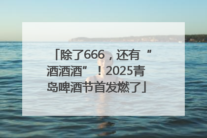 除了666，还有“酒酒酒”！2025青岛啤酒节首发燃了