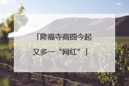 隆福寺商圈今起又多一“网红”