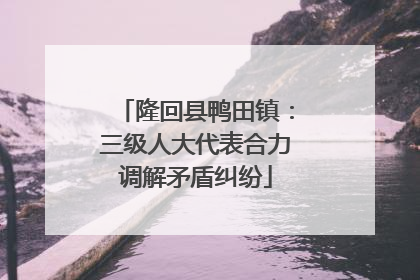 隆回县鸭田镇：三级人大代表合力调解矛盾纠纷